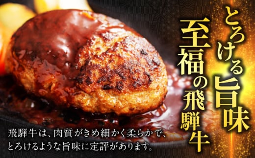 飛騨牛 ひだぎゅう ハンバーグ はんばーぐ 牛肉