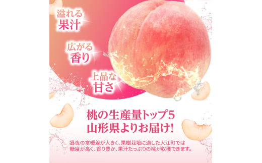 山形県大江町のふるさと納税 《先行予約》おまかせ 白桃 約5kg（18～25玉）【2025年8月上旬頃～発送予定】【山形もも・大江町産】 【001-090】