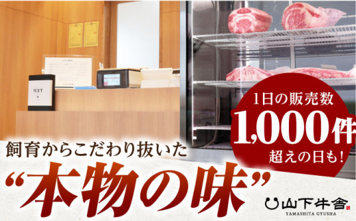 【全3回定期便】佐賀牛 赤身 定期【山下牛舎】 [HAD099] 佐賀牛 牛肉 肉 黒毛和牛 精肉 赤身 定期便 定期 