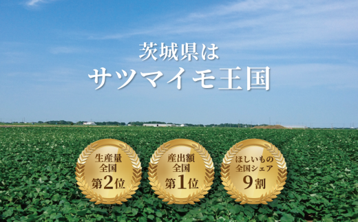 茨城県鉾田市のふるさと納税 焼干し芋 1.4kg（200g×7袋） 焼き干し芋 干し芋 紅はるか ほしいも 干しいも ほし芋 人気 お菓子 スイーツ ランキング 送料無料 日 取り寄せ おすすめ プレゼント ギフト 国産 母 父 敬老の日 選べる お土産 小分け 個包装 熟成 切り落とし 焼き芋専門店 樽屋