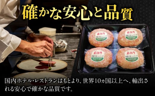 飛騨牛 ひだぎゅう ハンバーグ はんばーぐ 牛肉