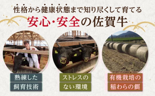 【全3回定期便】佐賀牛 赤身 定期【山下牛舎】 [HAD099] 佐賀牛 牛肉 肉 黒毛和牛 精肉 赤身 定期便 定期 