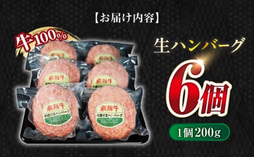 飛騨牛 ひだぎゅう ハンバーグ はんばーぐ 牛肉