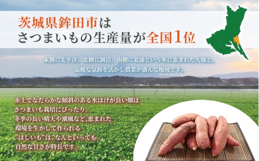 茨城県鉾田市のふるさと納税 焼干し芋 1.4kg（200g×7袋） 焼き干し芋 干し芋 紅はるか ほしいも 干しいも ほし芋 人気 お菓子 スイーツ ランキング 送料無料 日 取り寄せ おすすめ プレゼント ギフト 国産 母 父 敬老の日 選べる お土産 小分け 個包装 熟成 切り落とし 焼き芋専門店 樽屋