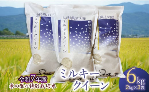 【令和7年産先行予約】 米の里の特別栽培米 ミルキークイーン 精米 6kg(2kg×3袋)　山形県鶴岡市産　K-763 337862 - 山形県鶴岡市