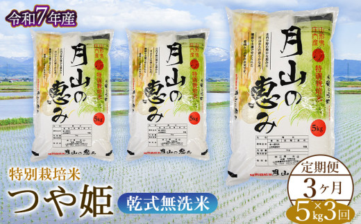 【令和7年産先行予約】 3ヶ月定期便 特別栽培米 つや姫 乾式無洗米 5kg×3回　毎月1回中旬発送　山形県鶴岡市産　米工房月山