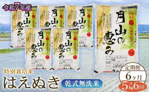 【令和7年産先行予約】 6ヶ月定期便 特別栽培米 はえぬき 乾式無洗米 5kg×6回　毎月1回中旬発送　山形県鶴岡市産　米工房月山