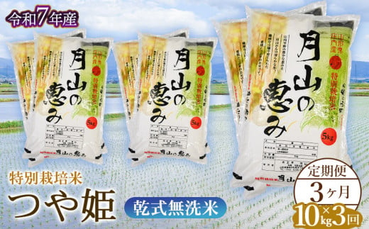 【令和7年産先行予約】3ヶ月定期便 特別栽培米 つや姫 乾式無洗米 10kg×3回　毎月1回中旬発送　山形県鶴岡市産　米工房月山