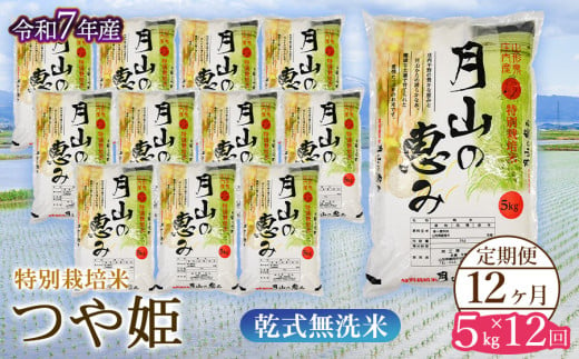 【令和7年産先行予約】 12ヶ月定期便 特別栽培米 つや姫 乾式無洗米 5kg×12回　毎月1回中旬発送　山形県鶴岡市産　米工房月山