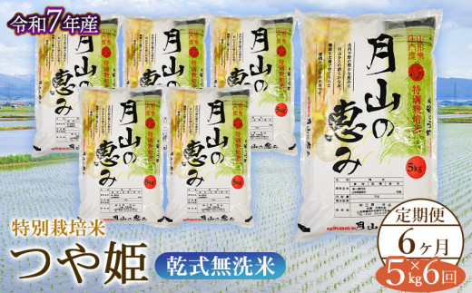 【令和7年産先行予約】 6ヶ月定期便 特別栽培米 つや姫 乾式無洗米 5kg×6回　毎月1回中旬発送　山形県鶴岡市産　米工房月山