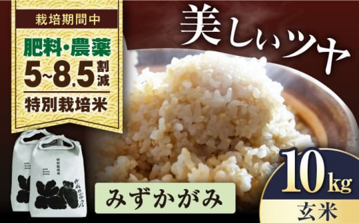 【先行予約/令和7年産新米】みずかがみ  10kg（5kg× 2） 玄米  特別栽培米  長浜市/株式会社お米の家倉 [AQCP055] 米 お米 玄米  10kg  みずかがみ 特別栽培米  滋賀県産 長浜市産 こめ 玄米 白米 精米 お米 新米 食品 ふるさと納税 国産 炊きたて 米ギフト もちもち ブランド米  食卓 美味しい 産地直送 節約 人気 1500569 - 滋賀県長浜市