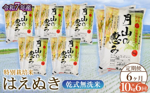 【令和7年産先行予約】 6ヶ月定期便 特別栽培米 はえぬき 乾式無洗米 10kg×6回　毎月1回中旬発送　山形県鶴岡市産　米工房月山