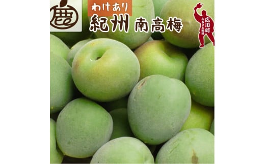 紀州 南高梅 ( 梅 青梅 ) 家庭用 2kg+60g（痛み補償分）＜6月発送＞ 訳あり 梅干し 梅酒 梅ジュース 朝摘み とれたて 直送便 和歌山 ※北海道・沖縄・離島への配送不可【ikd508-c-2】 1954165 - 和歌山県広川町