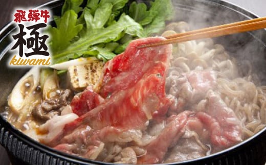 飛騨牛 すき焼き 希少部位入り福袋 総重量1200g (1.2kg) 牛肉 和牛 肉 飛騨牛すき焼き 飛騨牛 切り落とし  飛騨市推奨特産品 岐阜県 飛騨市