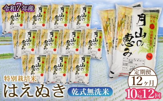 【令和7年産先行予約】 12ヶ月定期便 特別栽培米 はえぬき 乾式無洗米 10kg×12回　毎月1回中旬発送　山形県鶴岡市産　米工房月山