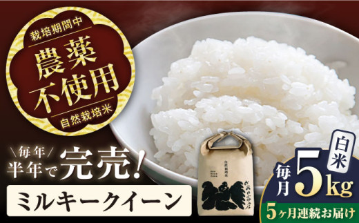 【全5回定期便】ミルキークイーン 5kg 白米 自然栽培米　【令和6年産】 滋賀県長浜市/株式会社お米の家倉 [AQCP012] 米 定期便 白米  5kg ミルキークイーン 自然栽培米 1500549 - 滋賀県長浜市