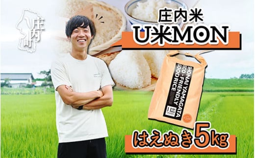 U米MON 庄内町産 はえぬき 5kg 令和6年産 2024年産 ブランド米