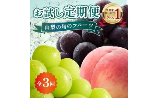 ＜発送月固定定期便＞山梨の大人気フルーツ桃・巨峰・シャインマスカットを手軽に試せる定期便全3回【4063182】