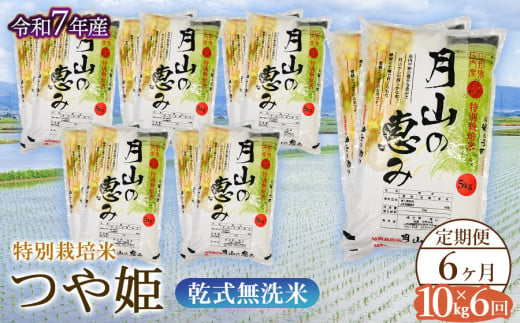 【令和7年産先行予約】 6ヶ月定期便 特別栽培米 つや姫 乾式無洗米 10kg×6回　毎月1回中旬発送　山形県鶴岡市産　米工房月山 1954230 - 山形県鶴岡市