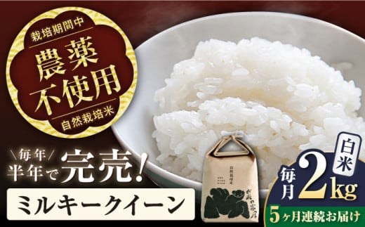 【先行予約/令和7年産新米】【全5回定期便】ミルキークイーン 2kg 白米 自然栽培米  滋賀県長浜市/株式会社お米の家倉 [AQCP008] 米 定期便 白米  2kg ミルキークイーン 自然栽培米  滋賀県産 長浜市産 こめ 玄米 白米 精米 お米 新米 食品 ふるさと納税 国産 炊きたて 米ギフト もちもち ブランド米  食卓 美味しい 産地直送 節約 人気 1500547 - 滋賀県長浜市