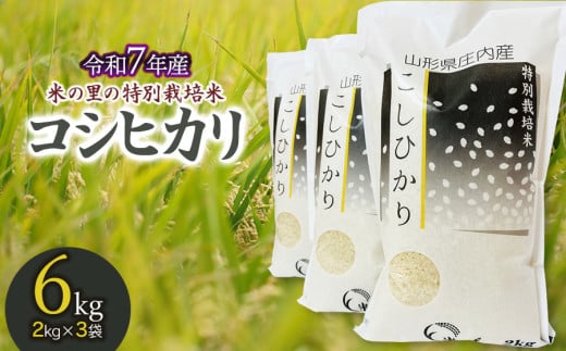 【令和7年産先行予約】米の里の特別栽培米 コシヒカリ 精米 6kg(2kg×3袋)　山形県鶴岡市産　K-763 1494722 - 山形県鶴岡市