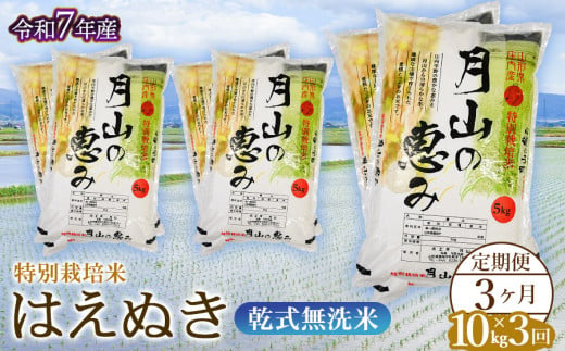 【令和7年産先行予約】 3ヶ月定期便 特別栽培米 はえぬき 乾式無洗米 10kg×3回　毎月1回中旬発送　山形県鶴岡市産　米工房月山