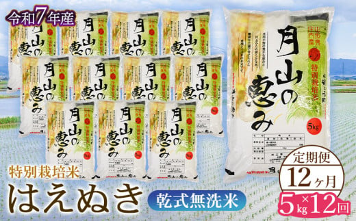 【令和7年産先行予約】 12ヶ月定期便　特別栽培米 はえぬき 乾式無洗米 5kg×12回　毎月1回中旬発送　山形県鶴岡市産　米工房月山