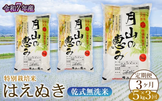 【令和7年産先行予約】 3ヶ月定期便 特別栽培米 はえぬき 乾式無洗米 5kg×3回　毎月1回中旬発送　山形県鶴岡市産　米工房月山