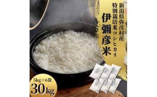 令和7年 特別栽培米コシヒカリ「伊彌彦米」30kg(5kg×6袋)新潟県産 精米 弥彦村【1006487】 324369 - 新潟県弥彦村