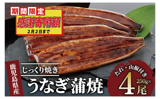 ＼2月2日まで／38000円→35000円【ご愛顧感謝寄附額】【鹿児島県産】うなぎ蒲焼じっくり焼き約250g×4尾 木目化粧箱入り(大新/038-1108) 鰻 蒲焼 国産 丑の日 うな重 無頭 ギフト ふっくら 小分け レンジ 簡単