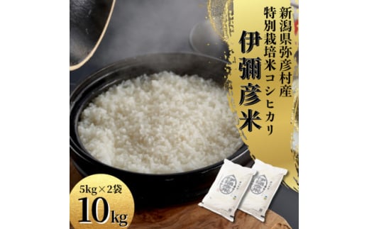 令和6年産特別栽培米コシヒカリ 伊彌彦米 10kg(5kg×2袋)新潟県産 精米 弥彦村_白米 お米 こしひかり こめ コメ 10キロ 弥彦村産【1006486】  - 新潟県弥彦村｜ふるさとチョイス - ふるさと納税サイト