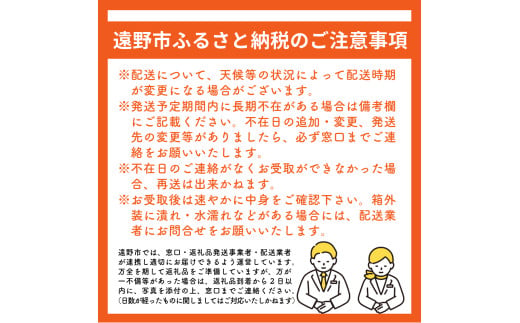 岩手県遠野市のふるさと納税 【 令和7年産 先行予約 】【ご贈答にも】 松陽園 樹上完熟 りんご サンふじ 3kg  岩手県遠野市  【2025年11月中旬ごろから発送予定】 農家直送