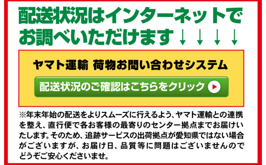 愛知県蒲郡市のふるさと納税 【G0176】千賀屋謹製 2025年 迎春おせち料理「おもいやり」和風三段重 3人前 全37品 冷蔵