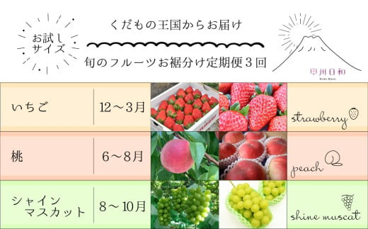 [定期便]旬のフルーツお裾分け定期便3回(いちご・桃・シャインマスカット)(KSB)C7-101[桃 もも シャインマスカット ぶどう 山梨県産 甲州市 期間限定 フルーツ 果物]