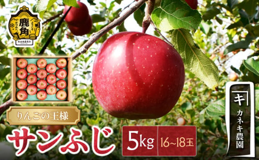 秋田県鹿角市 鹿角りんご サンふじ 5kg（16～18玉）【カネキ農園】食感 果汁 甘い リンゴ 完熟 旬 県産りんご お中元 お歳暮 贈り物 お見舞い グルメ ギフト 故郷 秋田 あきた 鹿角市 鹿角 送料無料  1954924 - 秋田県鹿角市