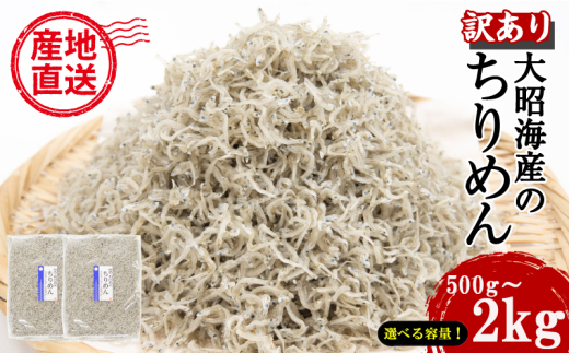 訳あり ちりめん 選べる容量 500g 1kg 1.5kg 2kg 国産 しらす ちりめんじゃこ 鰯 いわし 魚 海鮮 魚介類 魚貝 干物 乾物 産地直送 しらすご飯 ごはん おにぎり 米 こめ 不揃い 規格外 家庭用 お取り寄せ グルメ おつまみ 弁当 おかず おやつ 酒の肴 惣菜 パスタ ピザ ちりめん山椒 冷蔵 送料無料 和田島産 徳島県 小松島市 [北海道・東北・沖縄・離島配送不可]