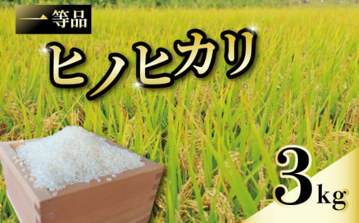 一等品 京都府産 ヒノヒカリ 3kg 白米 お米 米 コメ こめ はくまい 宇治 ごはん ひのひかり 令和6年産 京都 京都府 減農薬 ふるさと納税米 八千円 8000円