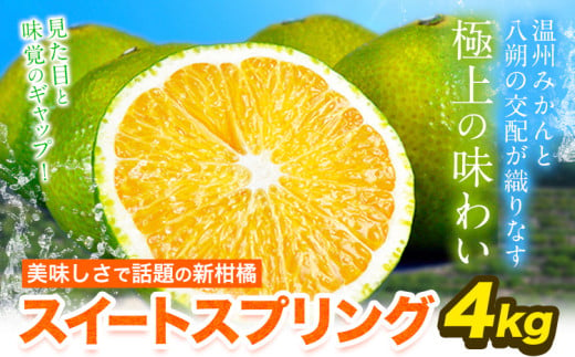 スイートスプリング 4kg 熊本県産 送料無料 旬 の みかん 熊本産 取り寄せ (3L～Sサイズ/3L-S混合) 《1月中旬-1月末頃出荷予定》熊本県 津奈木町 柑橘 希少品種 スイートスプリング 柑橘 果物 スイスプ 旬 の みかん 柑橘 温州みかん 1954782 - 熊本県津奈木町