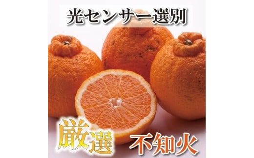 <2月より発送>厳選 不知火3kg+90g(傷み補償分)【デコポンと同品種・人気の春みかん】【光センサー選別】 485210 - 和歌山県九度山町 |