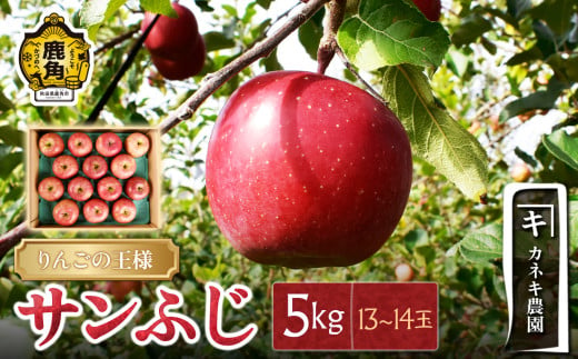 秋田県鹿角市 鹿角りんご サンふじ 5kg（13～14玉）【カネキ農園】食感 果汁 甘い リンゴ 完熟 旬 県産りんご お中元 お歳暮 贈り物 お見舞い グルメ ギフト 故郷 秋田 あきた 鹿角市 鹿角 送料無料  1954923 - 秋田県鹿角市