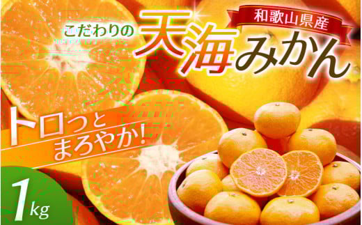 中山農園自慢 天海みかん 完熟宮川早生1kg 【期間限定】 / みかん 和歌山 ミカン フルーツ 果物 早生みかん 柑橘 田辺市 紀州田辺 甘い 【nak004】 1033288 - 和歌山県田辺市