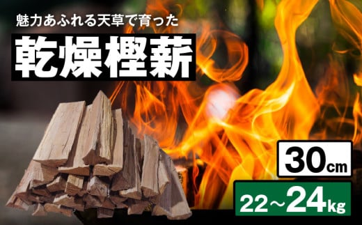 S163-001_魅力あふれる天草で育った乾燥樫薪（天樫　長さ30cm　22～24kg） 1956062 - 熊本県天草市