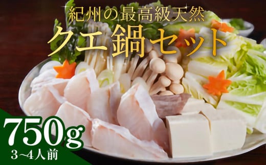 紀州の最高級天然クエ鍋セット 750g《3〜4人前》