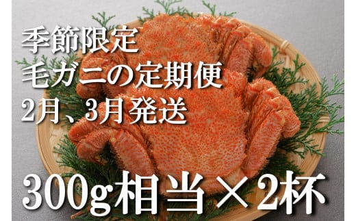 2ヶ月　定期便　三陸産活毛ガニ300g相当×2杯(2尾) 天然 国産 冷蔵 三陸 直送 濃厚 かに 蟹 カニ 毛ガニ 毛蟹 毛がに 