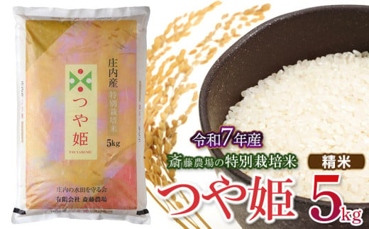 【令和7年産先行予約】 斎藤農場の特別栽培米 つや姫 精米 5kg(5kg×1袋)  山形県鶴岡市 K-737 1954709 - 山形県鶴岡市