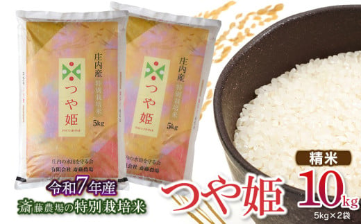 【令和7年産先行予約】 斎藤農場の特別栽培米 つや姫 精米 10kg(5kg×2袋) 山形県鶴岡市 K-774 1954707 - 山形県鶴岡市