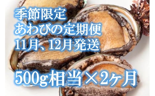 2ヶ月　定期便　アワビ 約500g ( 4個前後) ※アワビヘラ＆軍手付き※【期間限定】 三陸 岩手県 大槌町 あわび 人気 鮑 刺身 いわて iwate 2025 初栄丸 1955021 - 岩手県大槌町