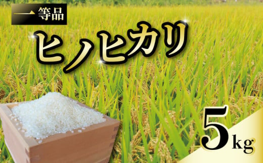 一等品 京都府産 ヒノヒカリ 5kg 白米 宇治 ごはん 白米 お米 米 コメ こめ はくまい 宇治 ごはん ひのひかり 令和6年産 京都 京都府 減農薬 ふるさと納税米