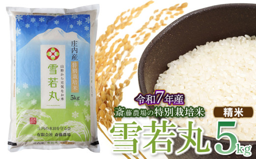 【令和7年産先行予約】 斎藤農場の特別栽培米 雪若丸 精米 5kg(5kg×1袋) 山形県鶴岡市 K-737 1954705 - 山形県鶴岡市