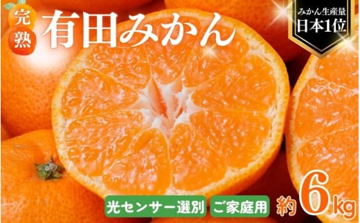 【2025年12月発送予約】 ご家庭用 こだわりの有田みかん 約6kg＋250g(傷み補償分)  光センサー選別 農家直送 / みかん ミカン 有田みかん 温州みかん 柑橘 フルーツ 果物 くだもの 旬 人気 みかん先行予約 家庭用 和歌山【nuk102-12】  2243618 - 和歌山県北山村
